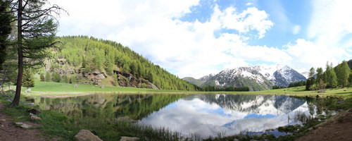 Covel in val di Pejo